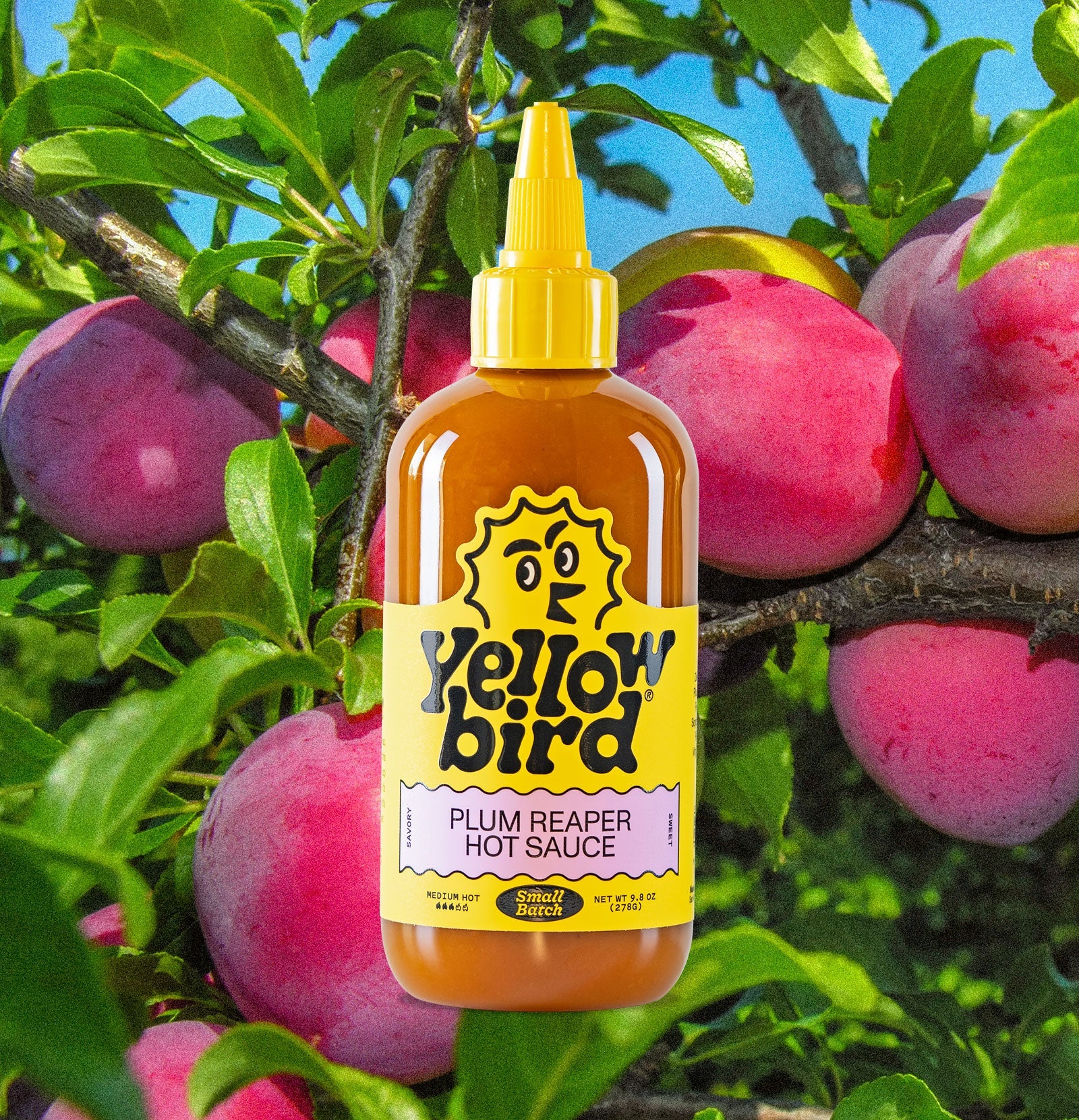 Plum Reaper Hot Sauce Y5